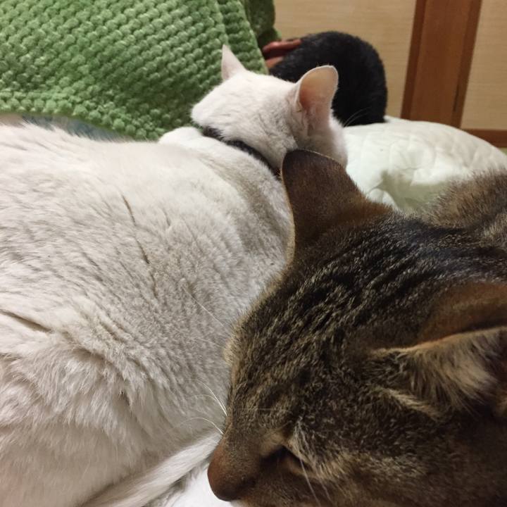 865dcfd0 2c07 4deb 8ada bea49680f09f