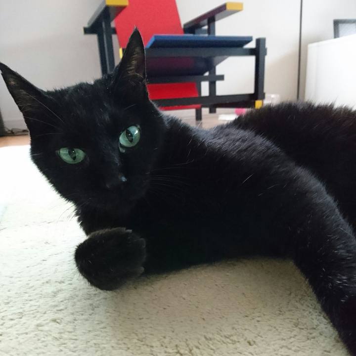 865e5a53 392b 4b4c 9757 780996886c41