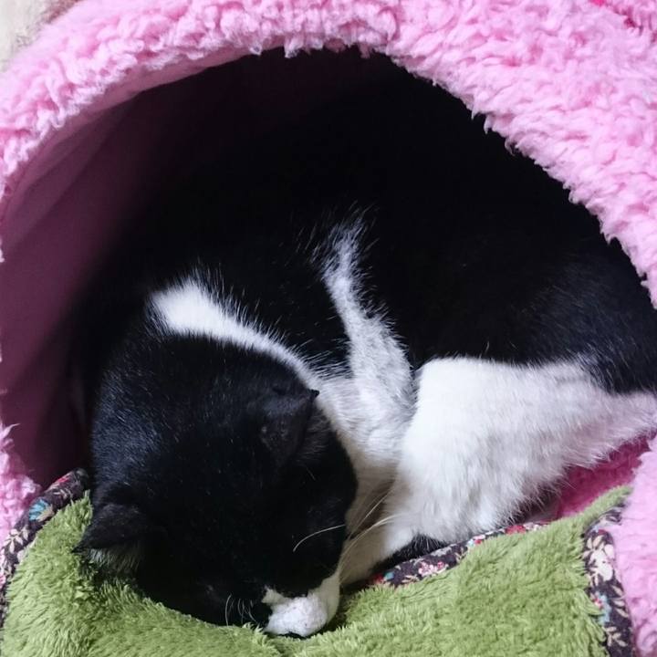 865eaf46 e557 431a a8a3 c3c994fe8783