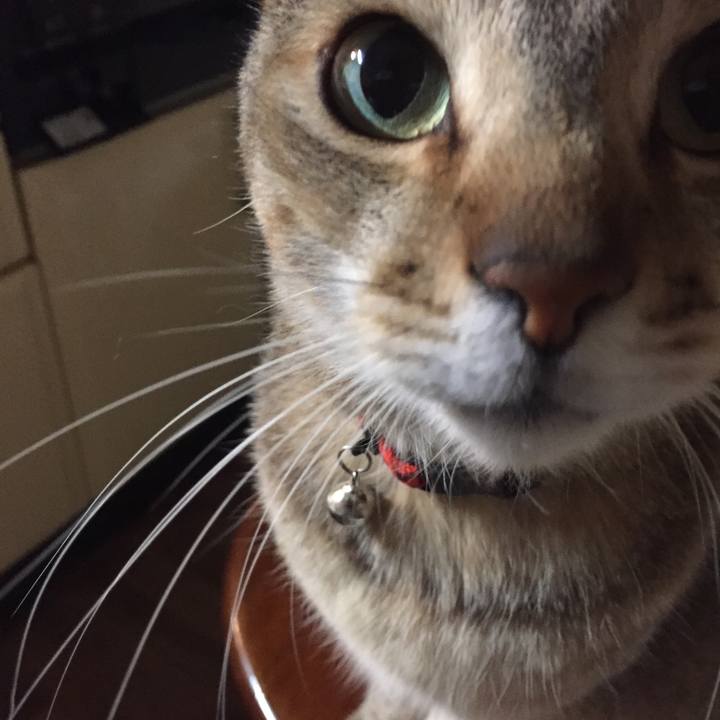 865f5e78 5bad 4781 95b1 262c2dd3160a