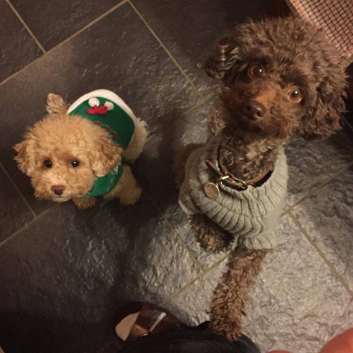 86609083 d6a1 44ee bde0 6063cd6e47d9