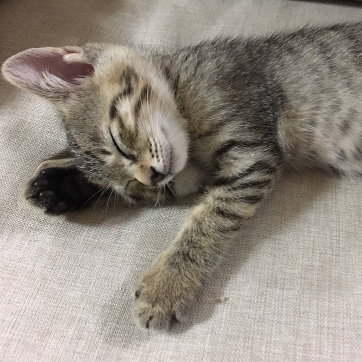 86611486 90c1 4b00 b3ec 7ed555c4e5d8