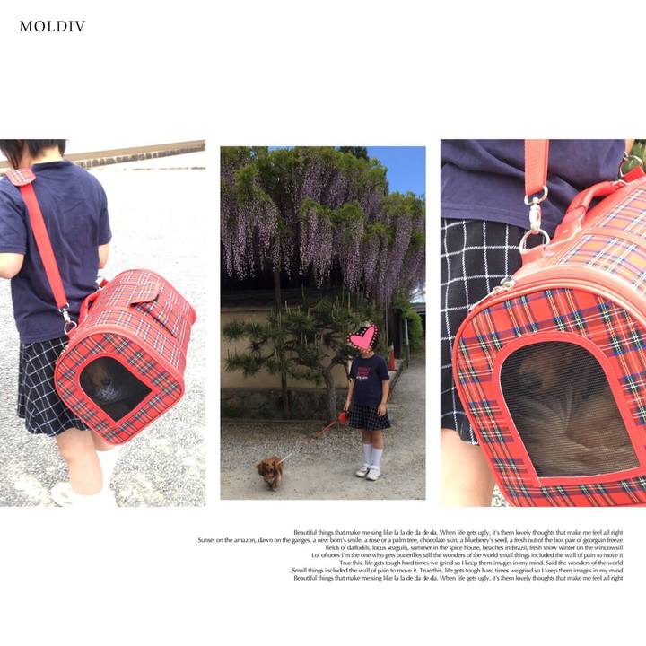 86611b47 3c4f 47bc 818b b613ab7709a4