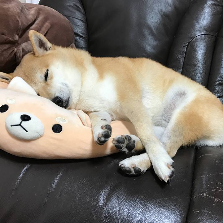 8661484a 4d7f 4f45 83ea 00f3d4e562d7