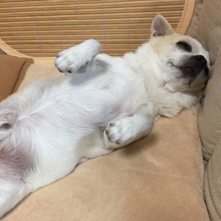 8661870e bafa 4d67 8bd3 c1826749bb2b