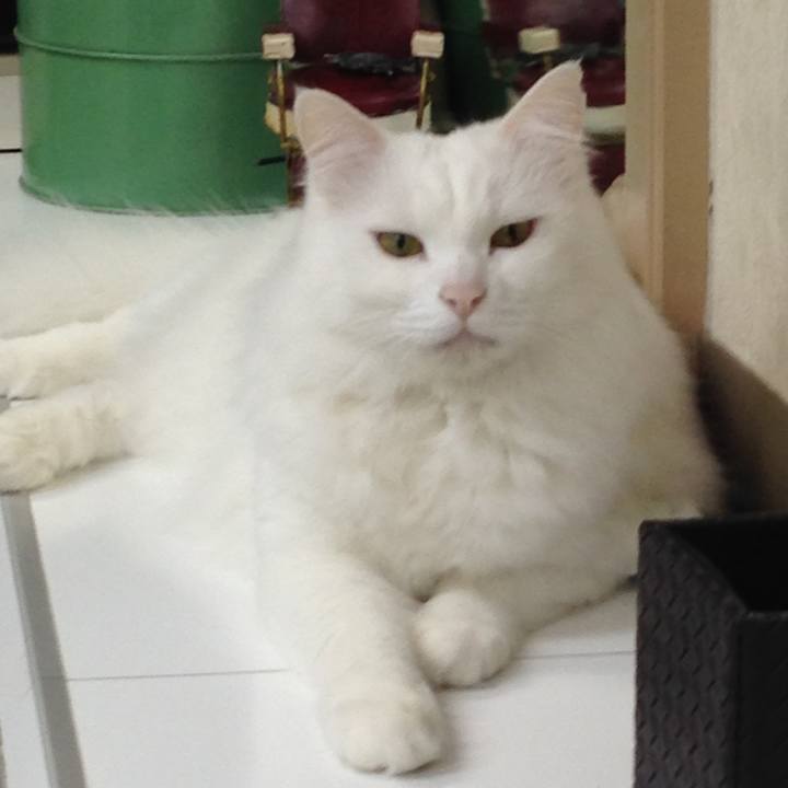 8661d61c 028a 4eeb 987c 3477ad6b99ae