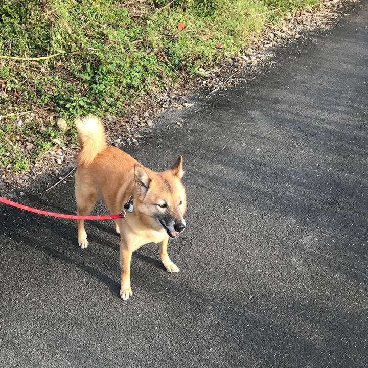 8662b331 3e56 4c29 a895 4db5aa8289e5