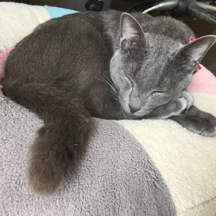 8662edc2 5c54 44e0 b7c6 ef009841ef39