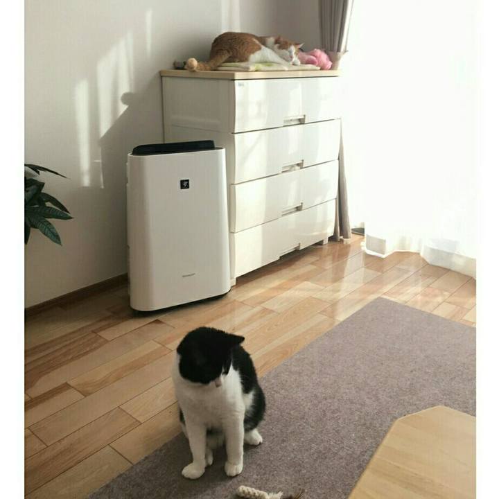 8663a311 2b7d 46ae 94c7 6f4fab5153f9