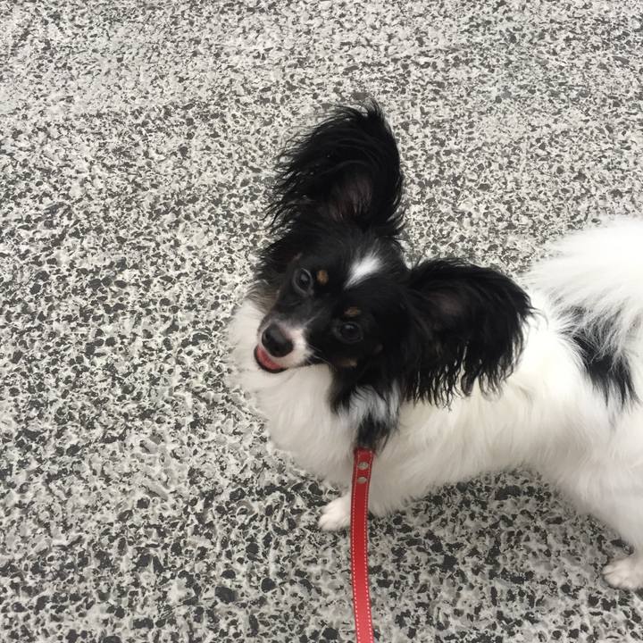 8663e3d8 9a6f 4fc0 a174 ad33e5843c04