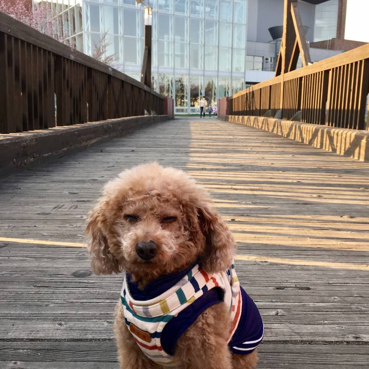 8663ff70 930b 472a a1eb 88c3109bded2