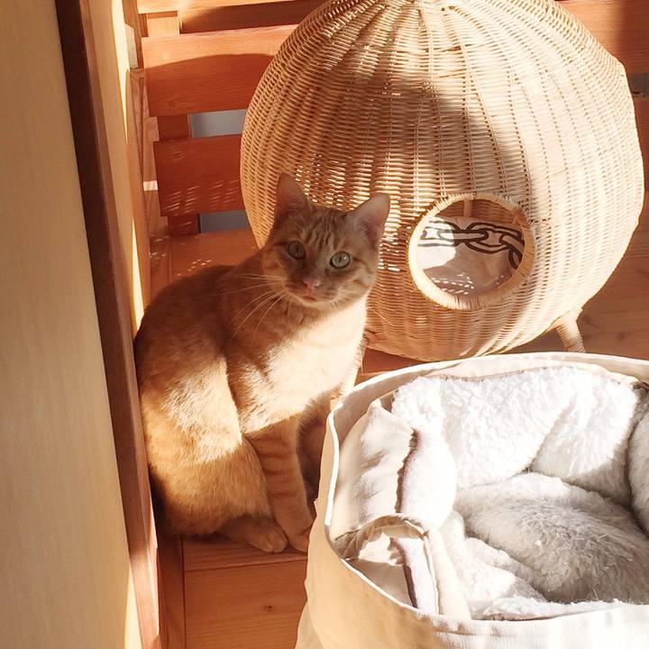 8664f202 9fcd 4bf8 a2e0 d0f1be4d9950