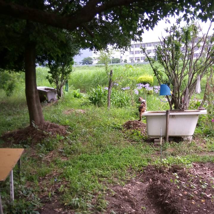 86655f97 5b2c 4cd7 b8f8 8deca8626e58