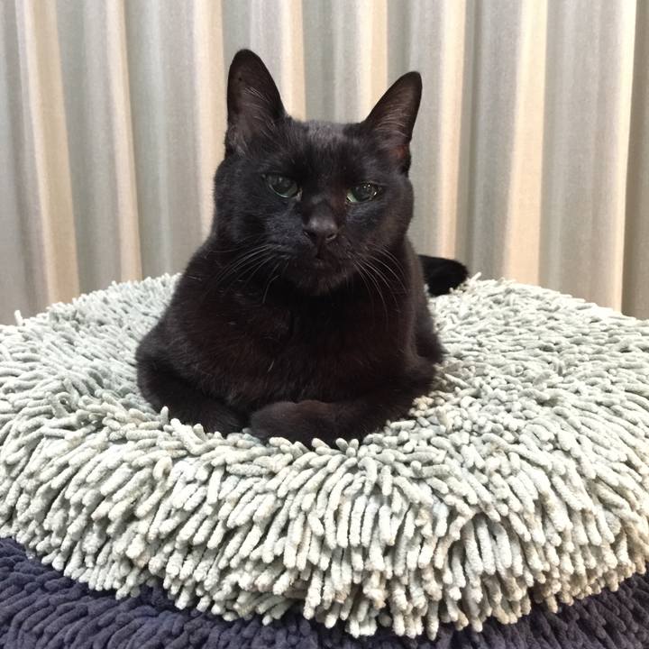 86656116 df43 47c9 b80b 8380857ce079