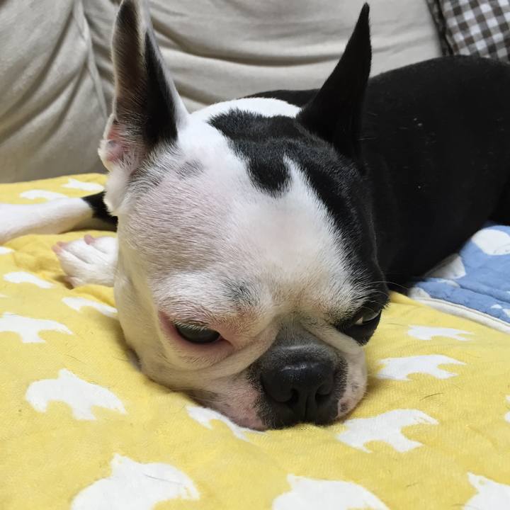 86657086 810c 4f67 95b0 91111acbf086