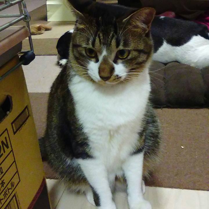 8665d950 aad2 496f a2c5 b263a0241dc5