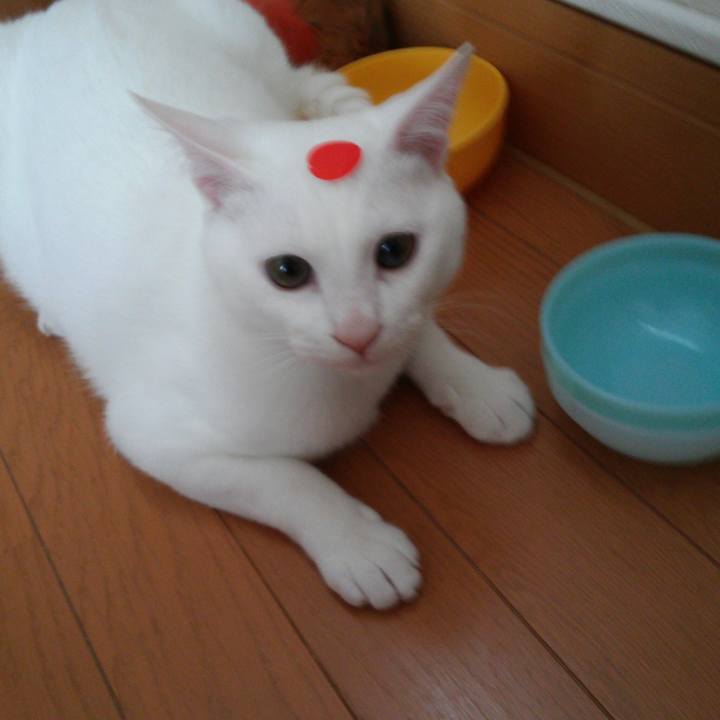 8665e484 1edf 47f7 8e33 679c8da1a20b