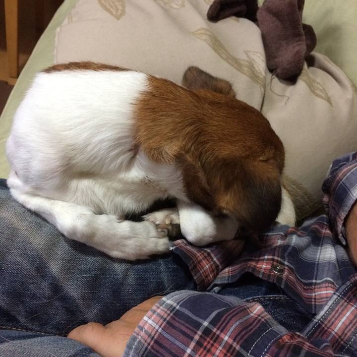 86663d13 683c 483e 935d 16811079ec7b