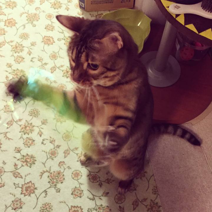 86666ea7 238d 4000 9220 4fef5064a978