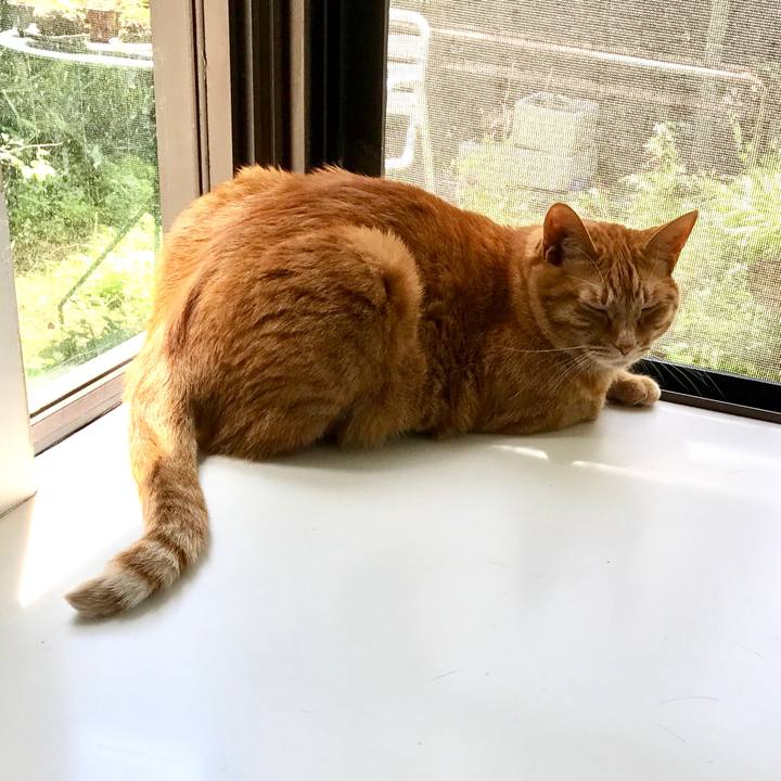 8666ac20 ed2b 408a a835 05c9252ce80c