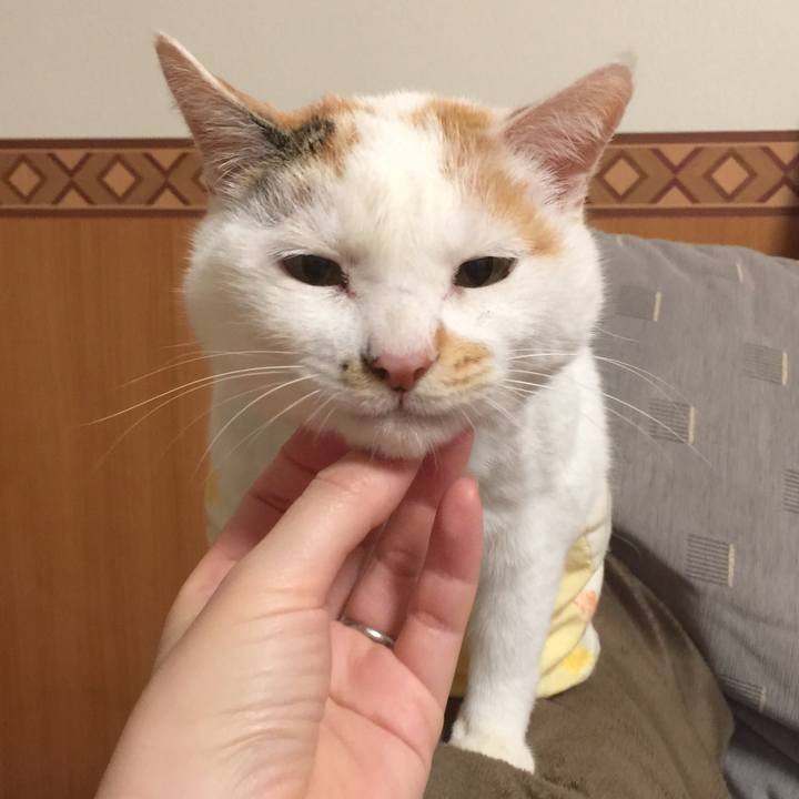 8667231e 31e2 4cbc 87e0 4ce5e0427e0f