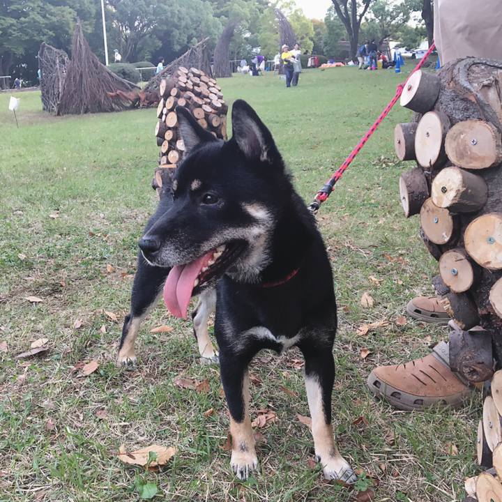 86672b67 3f9f 4ee5 8276 7539c2dd4869