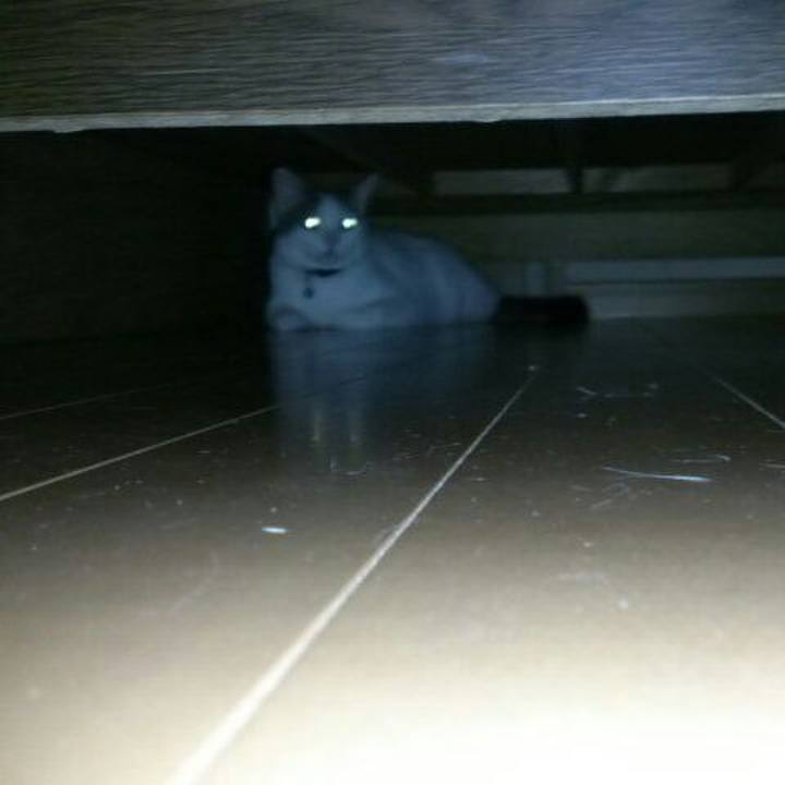 86678261 01a7 4763 b426 89b9ea68c7b1