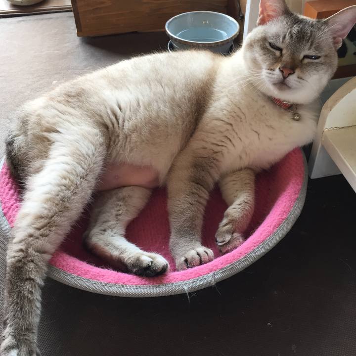 8667b2d4 e820 4972 84eb 22b4f2fca164