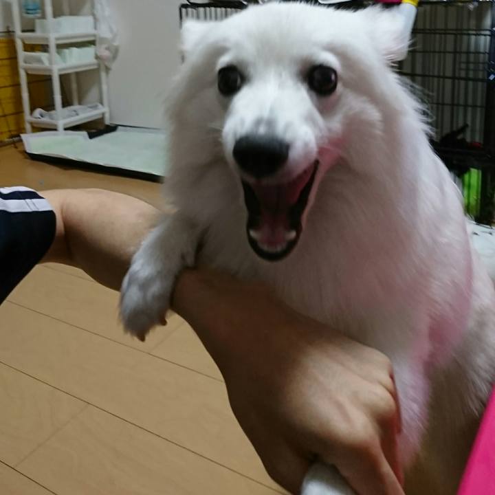 8667b71c 8c8d 4bc7 8b17 ce438e25b0d4