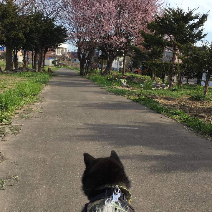 86681cb7 9f34 4736 bad4 261b57155d68