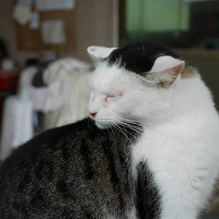 8668207e 3545 4625 9403 187f402ff0d0