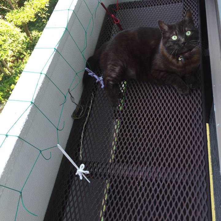 86685c49 5e5c 4582 b7ba 3e5ecc5ca8a3