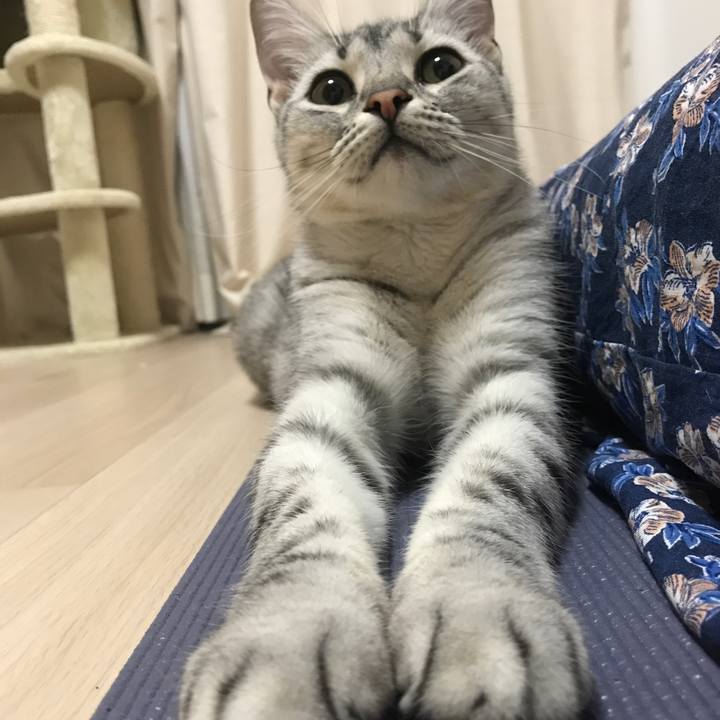 86687680 2654 4638 9a70 b3d471873fa6