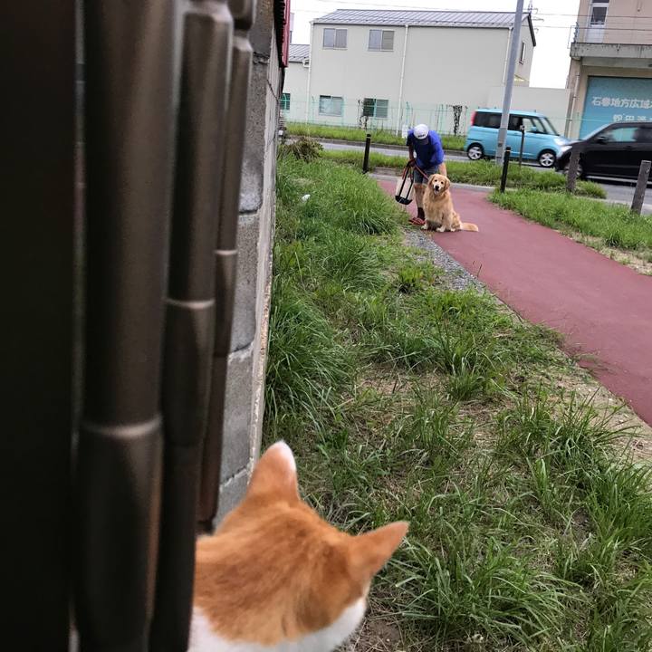 8668a412 1dd4 4eac 92a9 e792fa1175fd