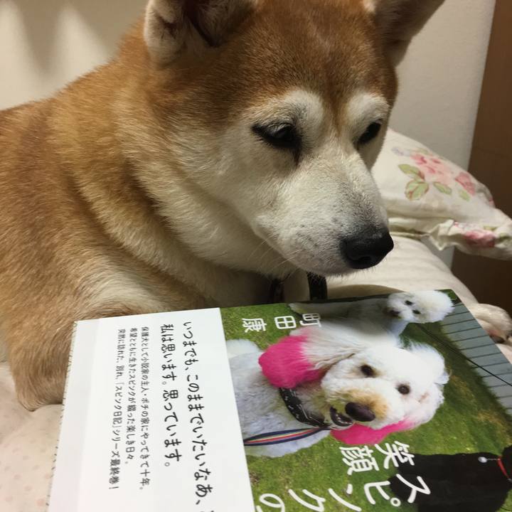 8668b088 91f7 49a5 b67c bf62de72cbbd