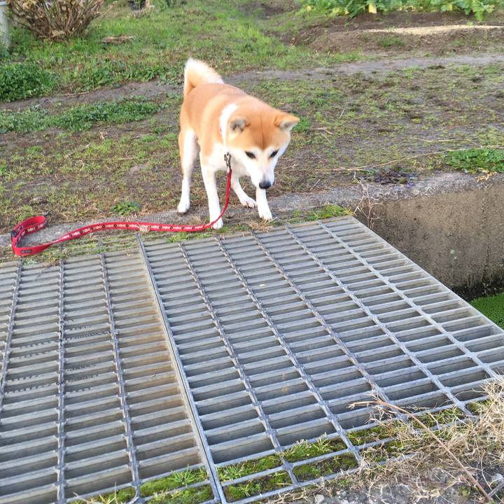 8668e2e9 3738 4385 b015 b94da13122a3