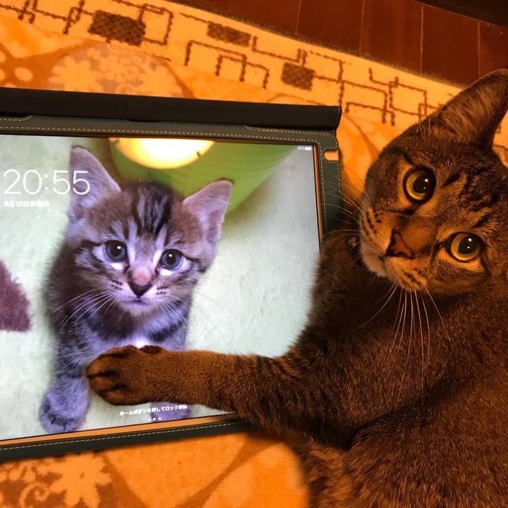 86691afe b844 4d55 a79b c88310adf253