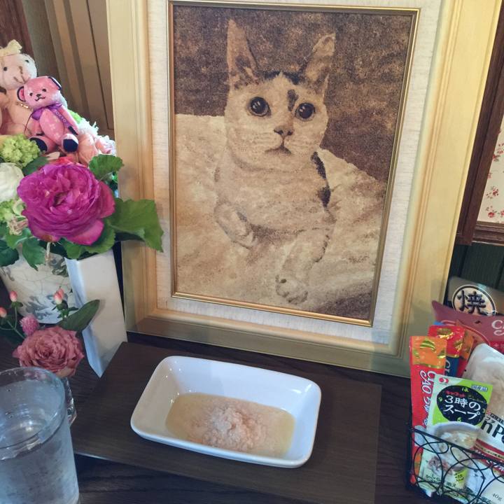 8669794a b8ed 48fa bd5c c2340b135649