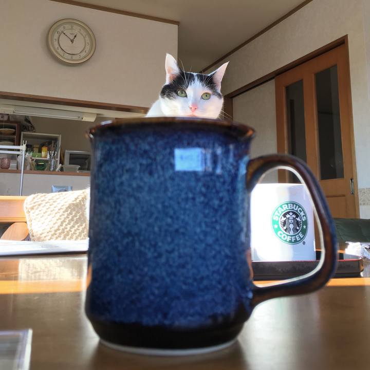 86699b0c 0d3e 49a4 8d00 2eca942081bb