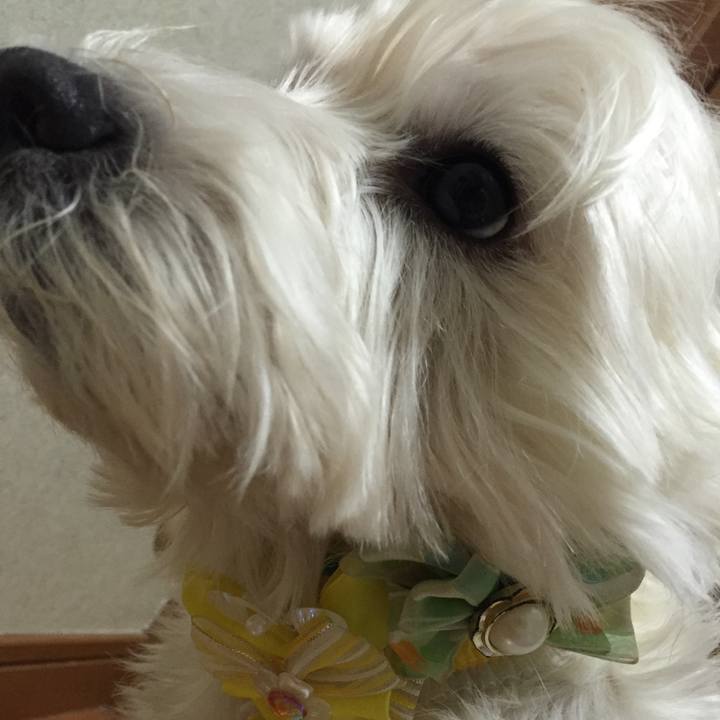 866a03ca 63c1 449d 80af d7a7b566a9bf