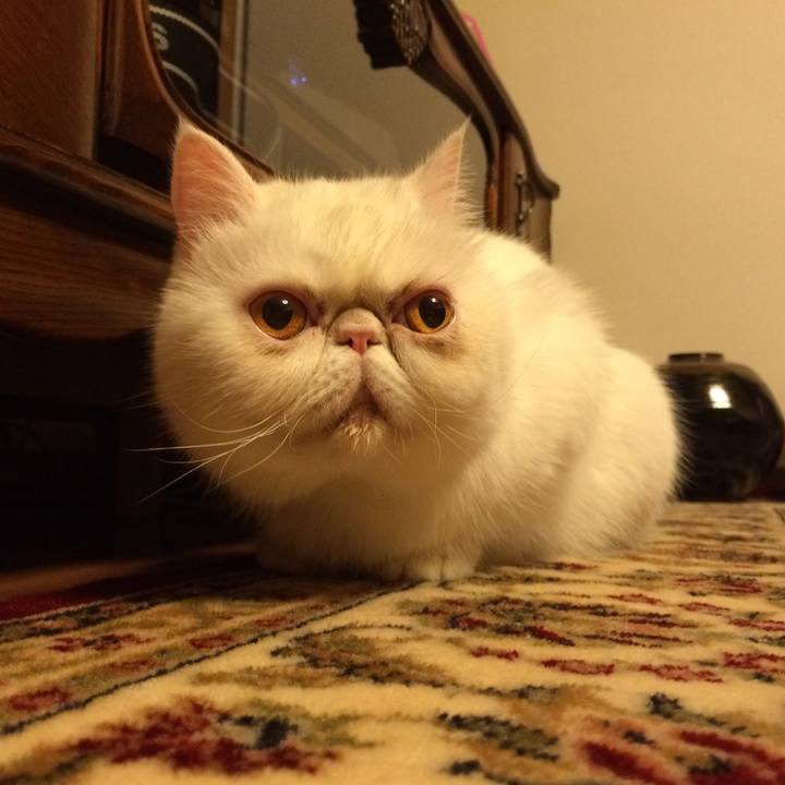 866a16ec 753e 4fb1 ac22 31a0f083b3cc