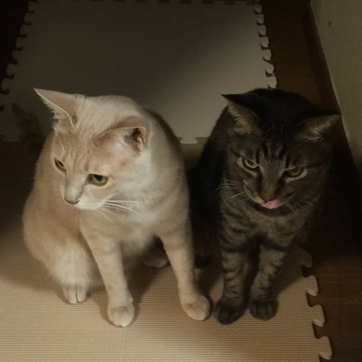 866a6777 446a 4ba3 b477 282ff21439bf