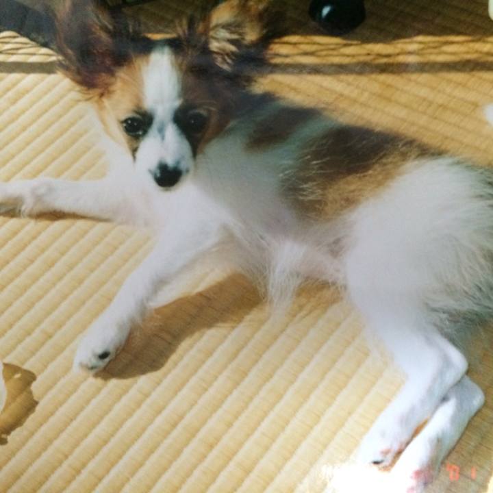 866abcc2 81b2 49f5 b776 97e01edfcc56