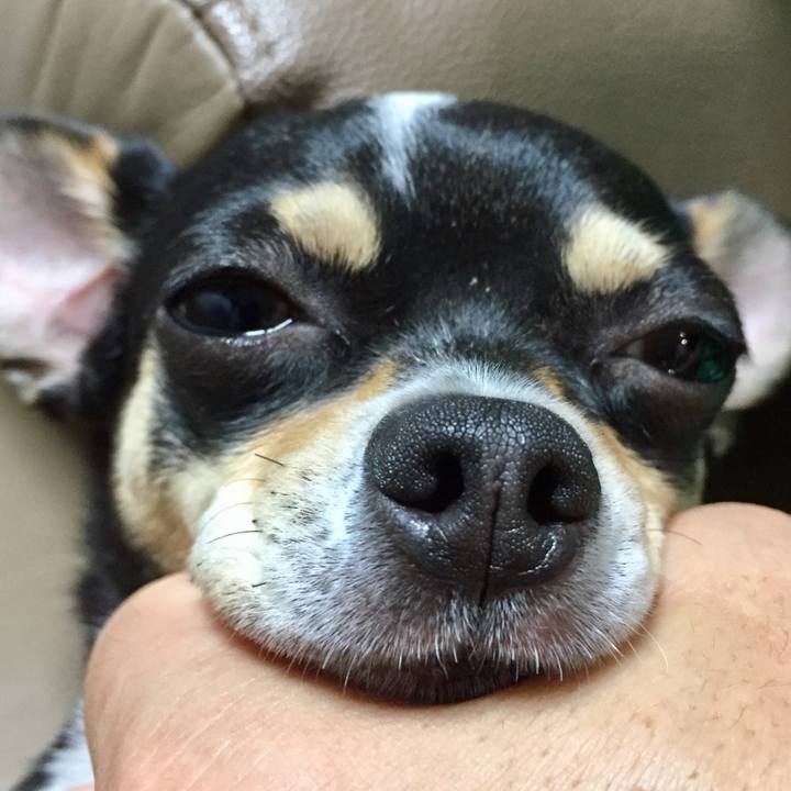 866c3629 0c95 4cad a030 c460c641e790