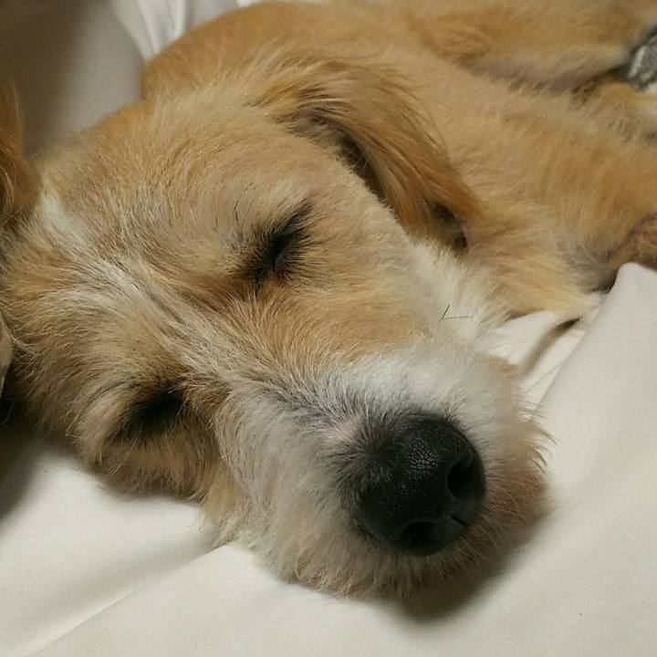 866c7158 c7fa 4ff1 b189 d2cae8306533