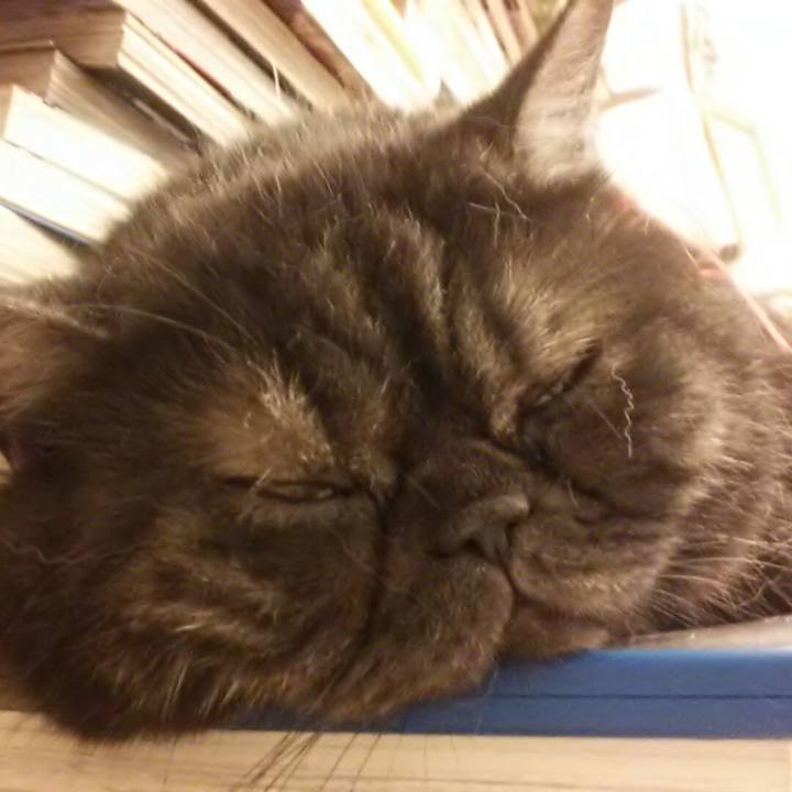 866c7fc0 117a 4f22 b1b5 a124de6d7616