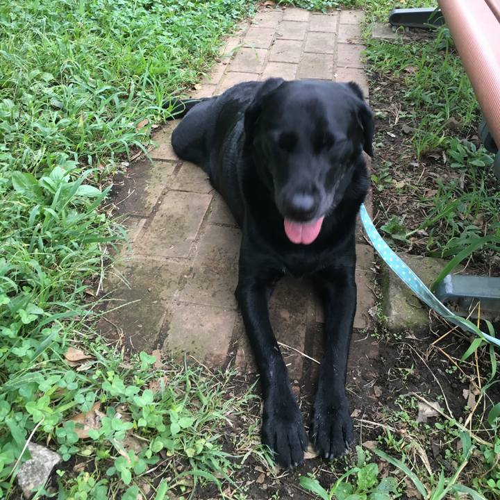 866d5b50 4e91 43c9 860b 14503aab5d2d