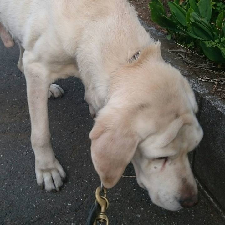 866de105 61fb 45a5 b3f3 25fe06f65646