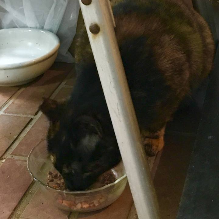 866e1444 202d 45ae 9166 7d8c347b7df2