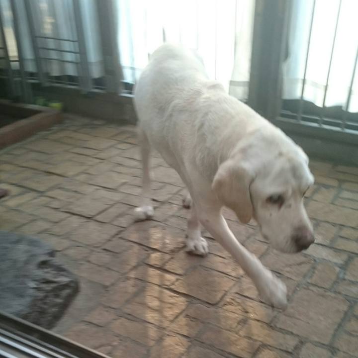 866e4a85 0f2d 4dee bac8 79d13693ed12